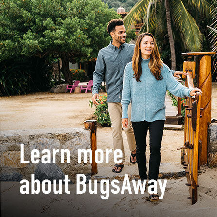 Learn more about BugsAway